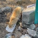 대금산진달래길(등산) 이미지