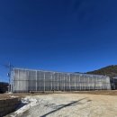 알로큰농장 | 농장알로록 춘천딸기 체험 후기 | 방학에 즐기는 춘천 가볼만한곳 추