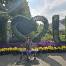 (주)꽃랜드 | 아산 피나클랜드 가을꽃 축제 - 여유로운 가을 분위기 물씬, 방문 후기~^