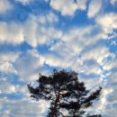 마봉재보루 이미지