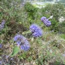 목포실내체육관 이미지