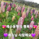 변효철 목사님 5월 7일 설교 동영상 { 예수 동행의 행복자 } 14분 부터 볼륨 정상입니다 귀에 가까이 하세요 이미지