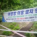 봉무공원 야영장 이미지