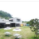 푸르댕댕 이미지