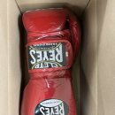 버팔로복싱짐 | 글러브 뭐살까 고민하는 인생 첫 복싱 초보 복린이에게! 클레토 레예스 가즈아!!