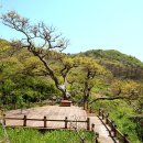 외연도6 이미지