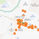 서울율바른치과의원 티스토리