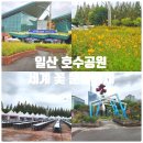 일산 호수공원 축제, 호수야 놀자 가을 나들이 아이랑 다녀왔던 후기
