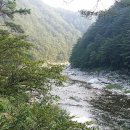 남회룡민박 네이버블로그