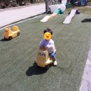 오떼떼 블루 이미지