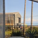 씨유(CU) 순천율산점 | [제주 4박5일 여행] 2일차 일정 정보 경비(다인오세아노호텔 조식, 보롬사진관, 판포포구, 판포리135...