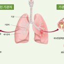 광덕안정한의원 용인죽전점 이미지
