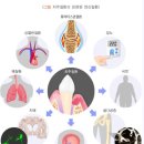 크로스디치과의원 | 삼성역치과 임플란트 고민만 6개월째라면, 이 글이 마지막이 됐으면 합니다