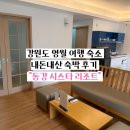 동강시스타 | 영월 내돈내산 리조트_가족, 단체 여행 숙소 탑스텐리조트 동강시스타 솔직후기