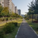 유성아파트 정문 앞 횡단보도 네이버블로그