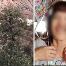 호텔밴드 이미지