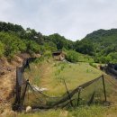 01-78 동구 네이버블로그