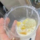인하대 디저트 동글동글탕후루 사고, 구슬아이스크림 맛본 후기!