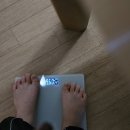 48 | 그린몬스터 헐리우드 48 클렌즈 2일 후기