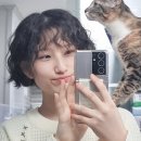 Y&헤어 이미지