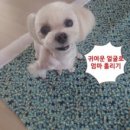 바닐라홈패션