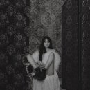 까멜리아 이미지