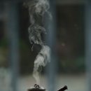 청화약국 이미지