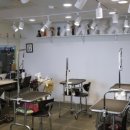 마스터그루밍클럽 이미지