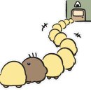 뽑기천국 이미지