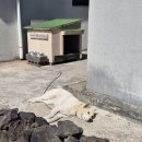 볼수록제주