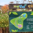 대덕대로-2 이미지