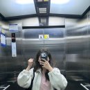 몸을짓다