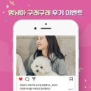 김포강아지고양이 멍냥아구래구래 이미지