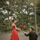 마샬브라이드천안 이미지