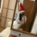 경기도 수원시 팔달구 매산로, 정조로 | 수원 airbnb 에어비앤비 뵤뵤자리 연말파티 여기 살고싶다✨