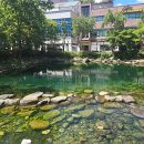 황지연못 이미지