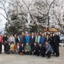 분향초등학교 이미지