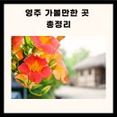 영주 가볼만한 영주 가볼만한곳 경북 영주 가볼만한곳 베스트10 이미지