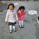 솔그림 이미지