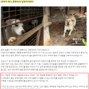 성남시 이재명 행복이 방치 파양에 대하여 이미지