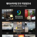 우일메딕스 티스토리