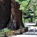 모두약품 이미지