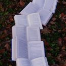 Godot(고도) 이미지