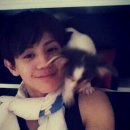 양부자 Daum카페