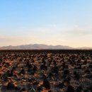 서당초등학교 앞 이미지