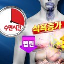 신진나이스