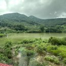 장백산칼국수 이미지