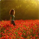 영원의 노래 이미지