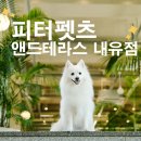 펫츠앤드로 | 서울근교 고양시 - 강아지 실내 오프리쉬 가능한 대형 식물원 카페 앤드테라스 피터펫츠 내유점 후기
