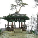 의상대 Daum카페